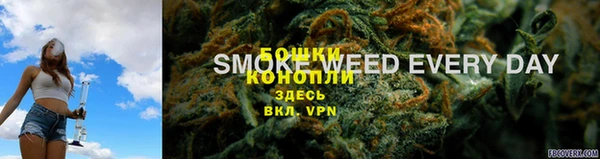 ПСИЛОЦИБИНОВЫЕ ГРИБЫ Няндома