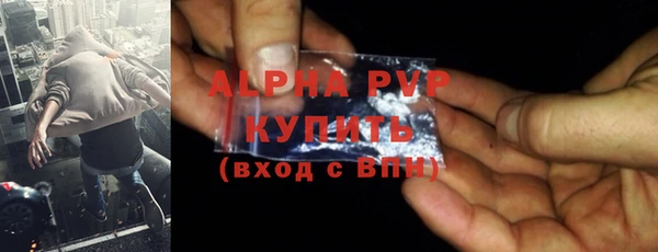 ПСИЛОЦИБИНОВЫЕ ГРИБЫ Няндома
