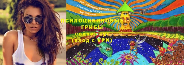 мяу мяу мука Нягань