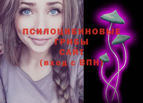 ПСИЛОЦИБИНОВЫЕ ГРИБЫ Няндома