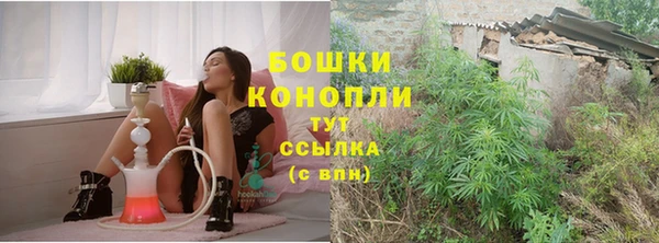 ПСИЛОЦИБИНОВЫЕ ГРИБЫ Няндома