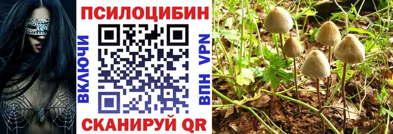 Псилоцибиновые грибы прущие грибы  Купить закладки  Данилов 