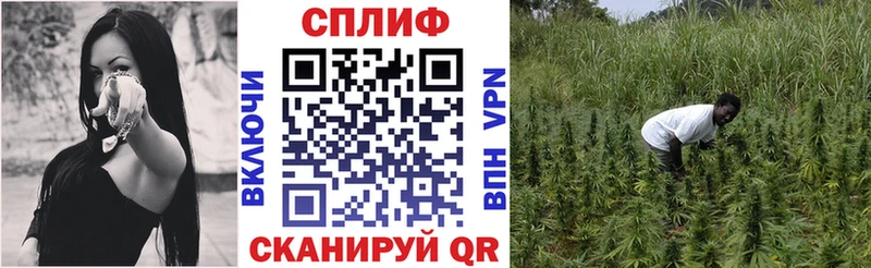 Канабис OG Kush  Купить  Данилов 
